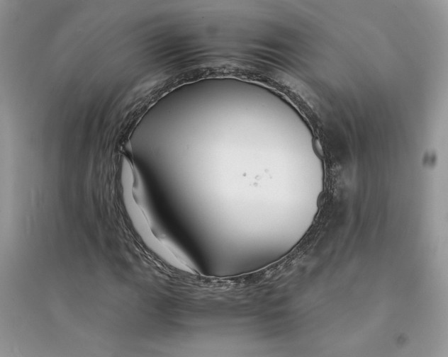 X0000094431111200711291526