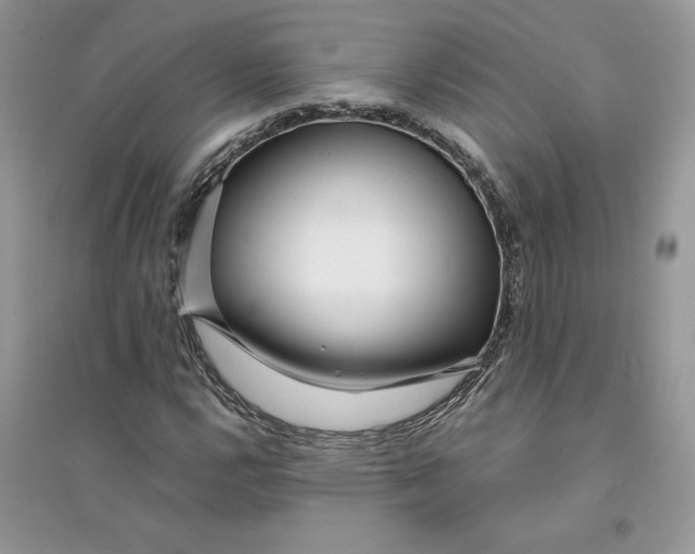 X0000094431112200711291526