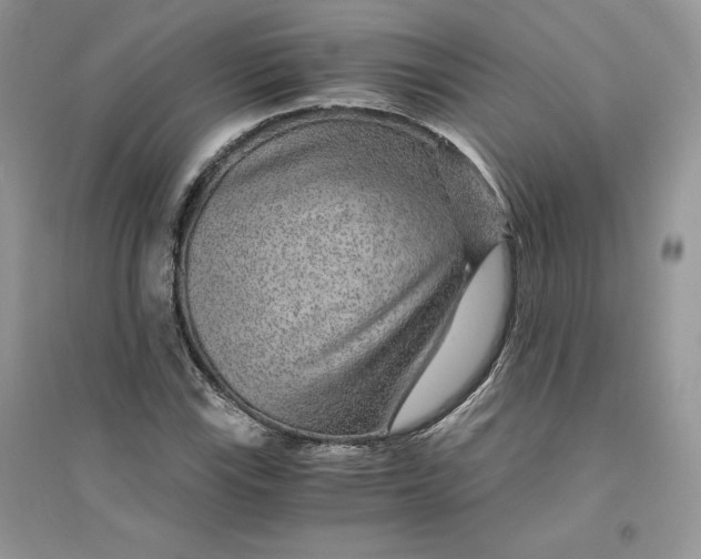 X0000094431115200711291526