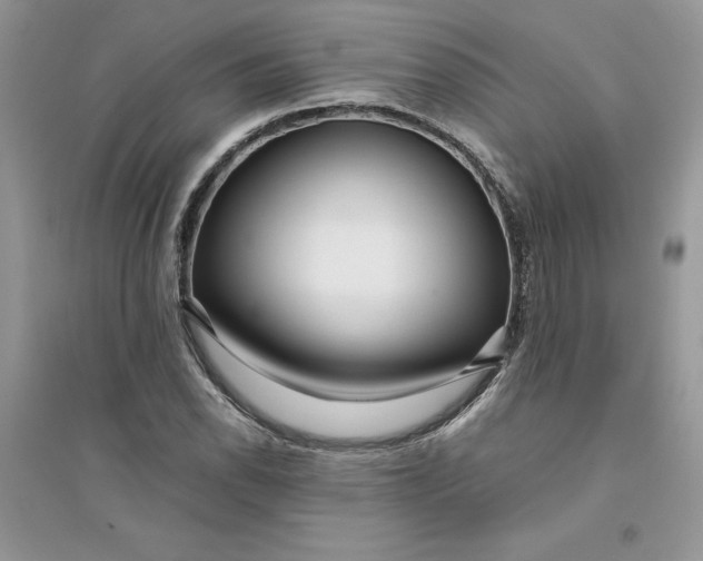 X0000094431118200711291527