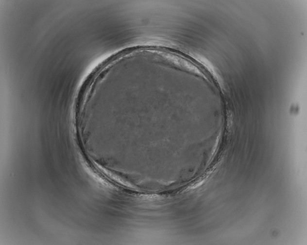 X0000094431120200711291527