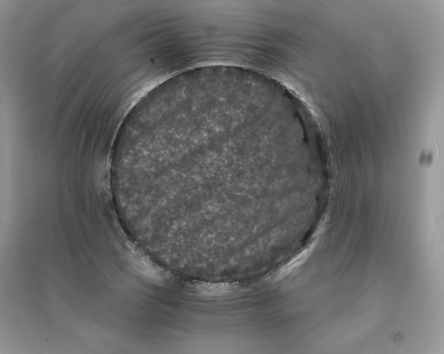 X0000094431121200711291527