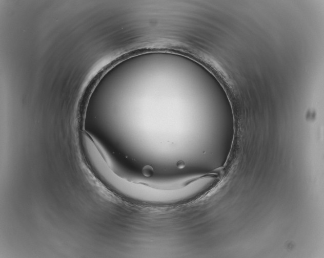 X0000094431122200711291527