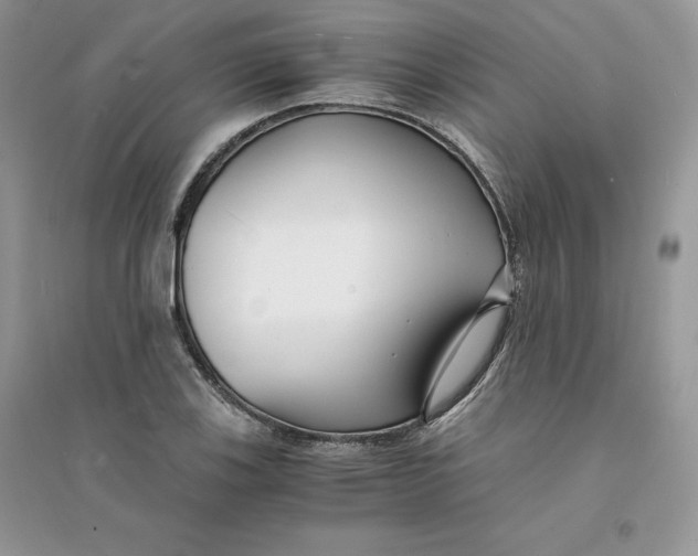 X0000094431123200711291527