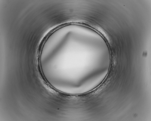 X0000094431124200711291527