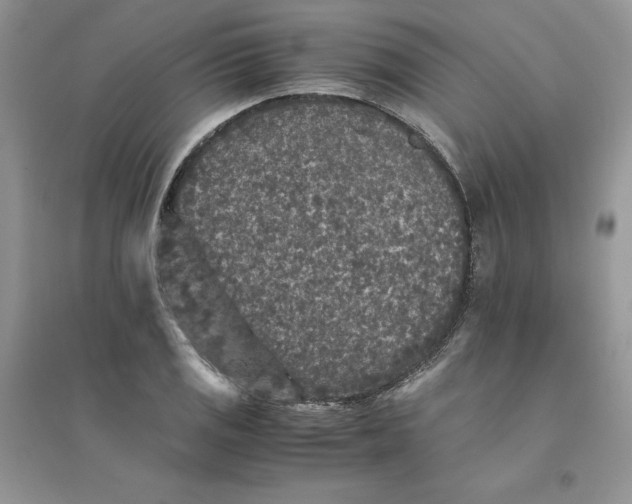 X0000094431125200711291527