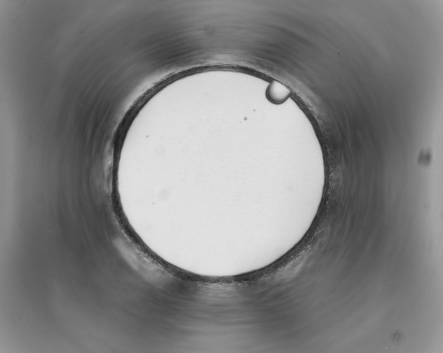 X0000094431126200711291527