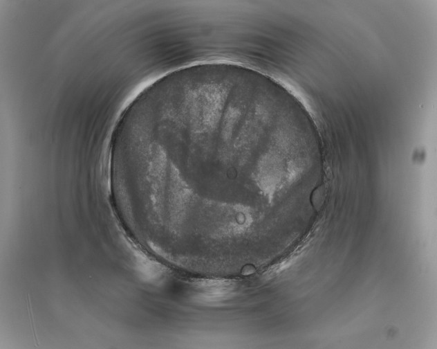 X0000094431127200711291527