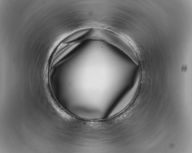 X0000094431128200711291527