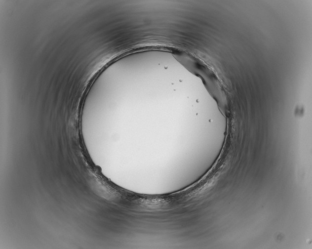 X0000094431129200711291527