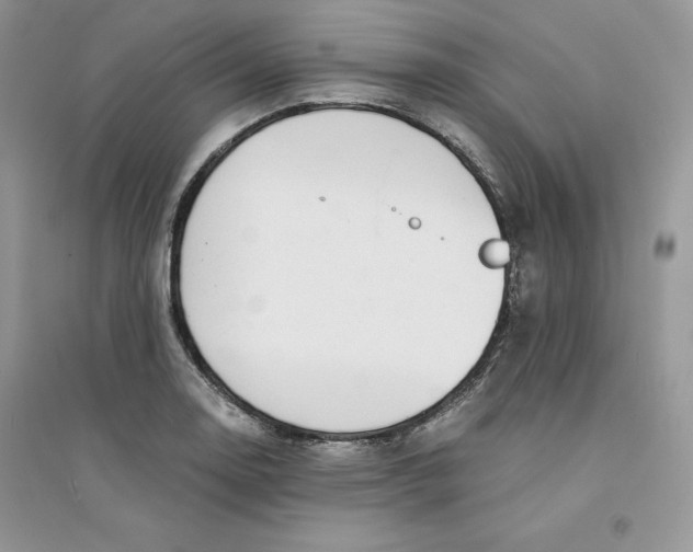 X0000094431130200711291527