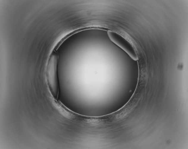 X0000094431132200711291527