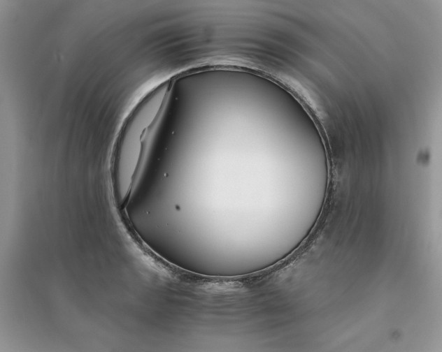 X0000094431133200711291527