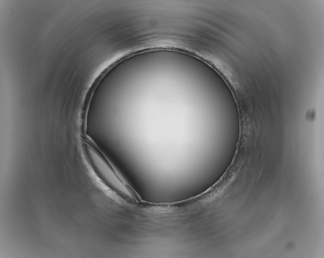 X0000094431134200711291527