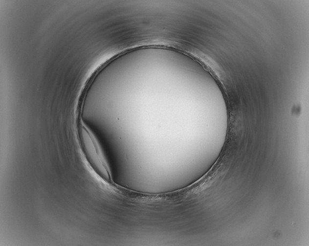 X0000094431135200711291527