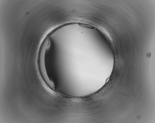 X0000094431136200711291527