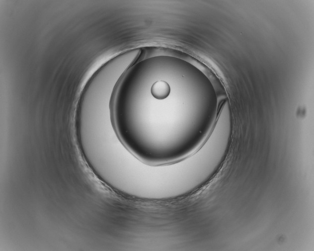 X0000094431138200711291527