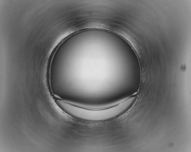 X0000094431139200711291527