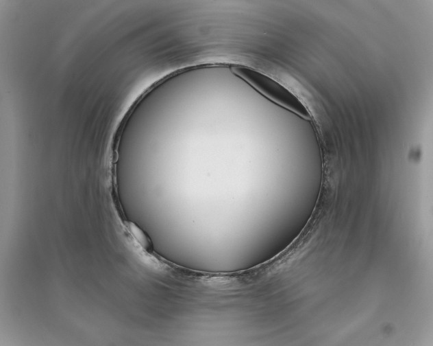 X0000094431140200711291527