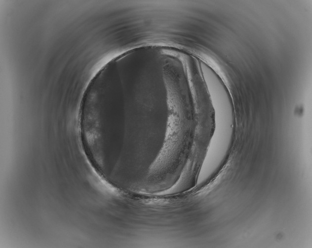 X0000094431141200711291527