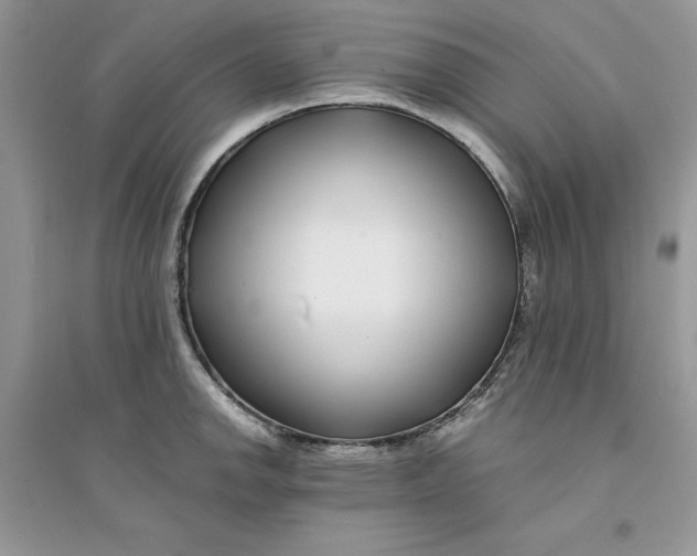 X0000094431142200711291527