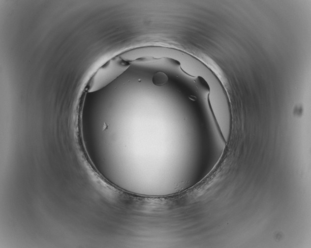 X0000094431144200711291527