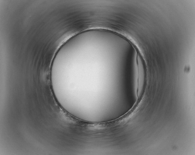 X0000094431145200711291527