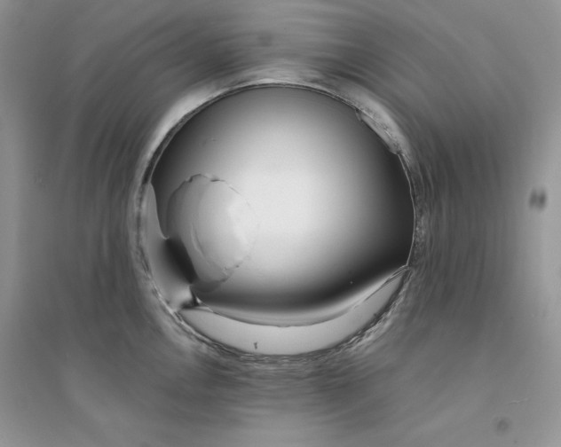 X0000094431146200711291527