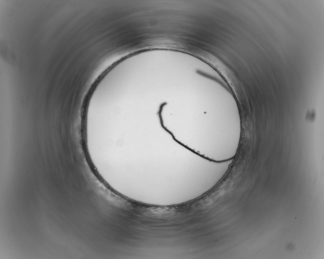 X0000094431147200711291527