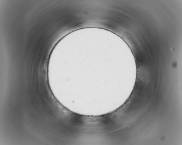 X0000094431150200711291527