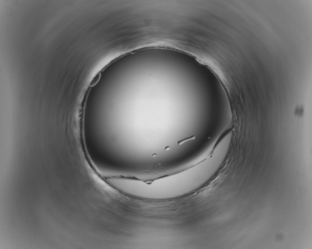 X0000094431151200711291527