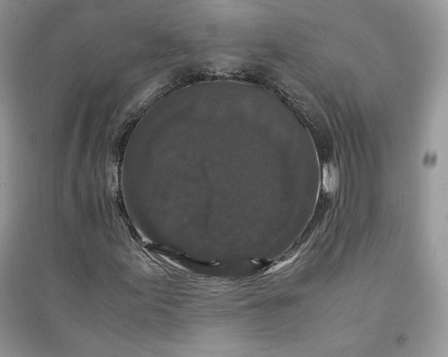 X0000094431155200711291526