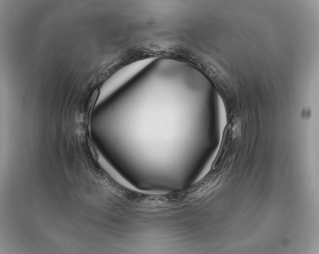 X0000094431156200711291526