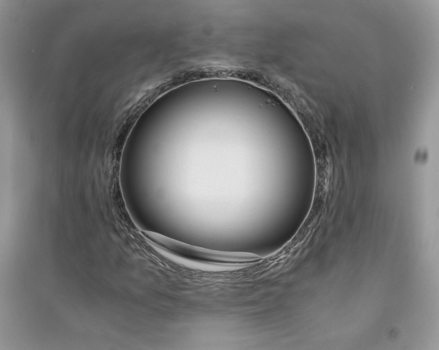 X0000094431157200711291526