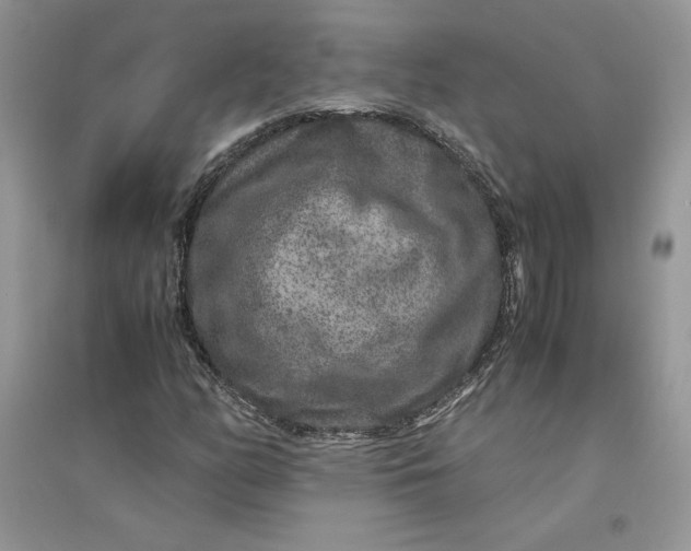 X0000094431158200711291526