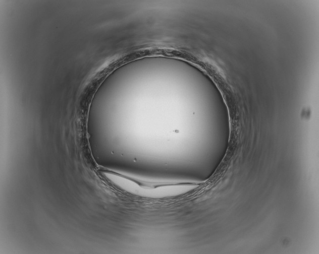 X0000094431159200711291526