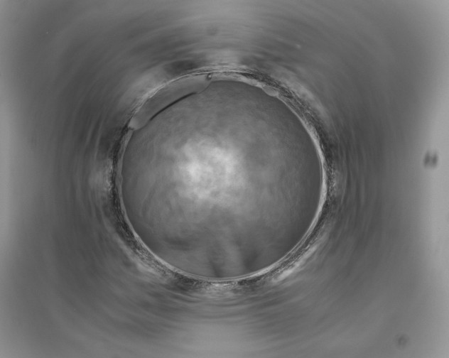 X0000094431161200711291526