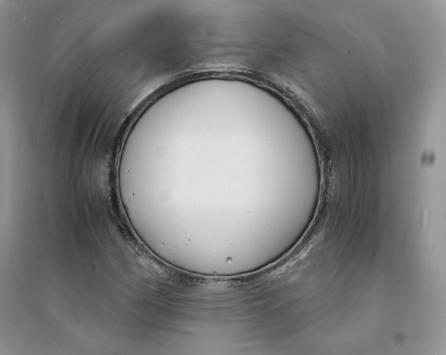 X0000094431162200711291526