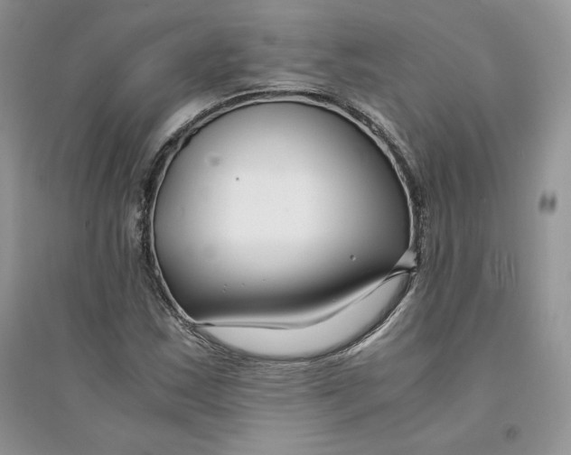 X0000094431163200711291526