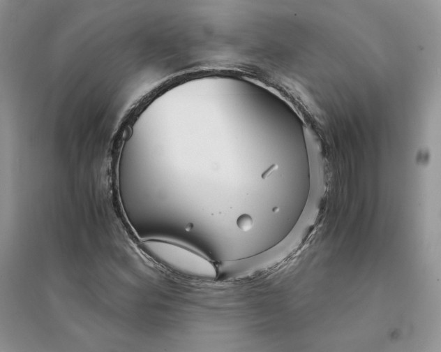 X0000094431164200711291526