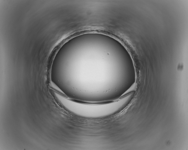 X0000094431165200711291526