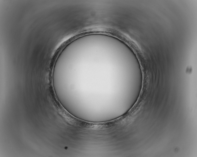 X0000094431166200711291526