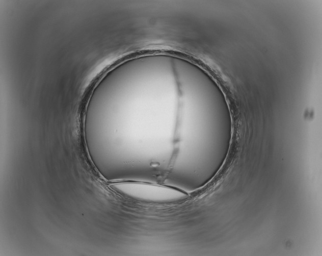 X0000094431167200711291526