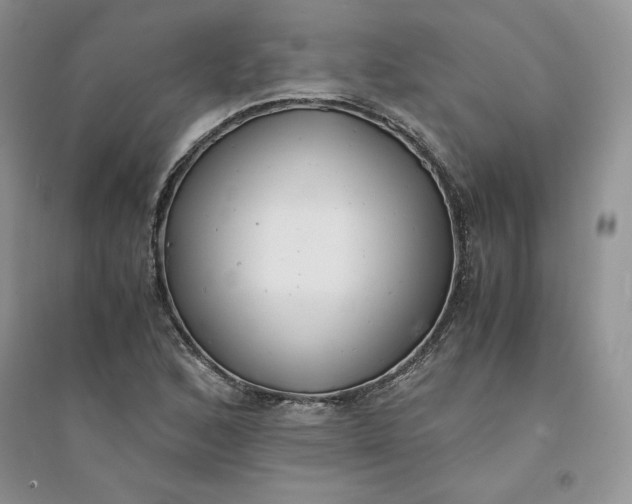 X0000094431168200711291526