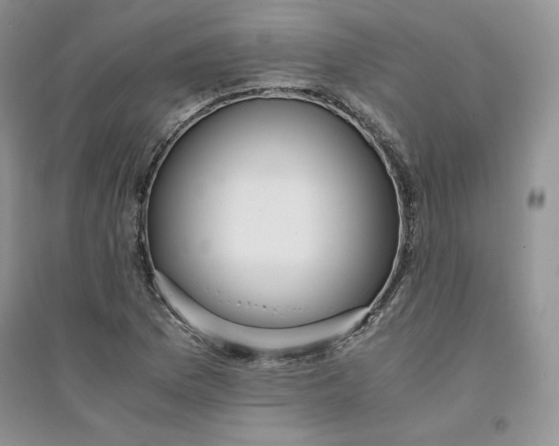 X0000094431169200711291526