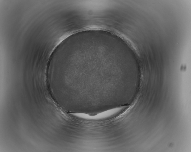 X0000094431170200711291526