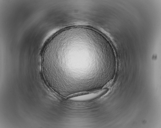 X0000094431171200711291526