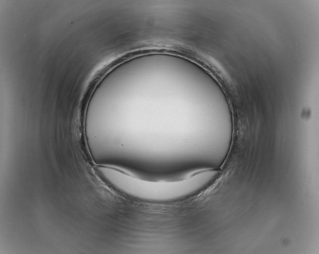 X0000094431172200711291526