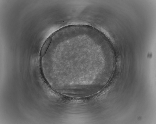 X0000094431173200711291526