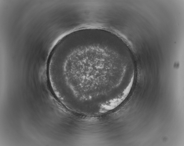 X0000094431174200711291526